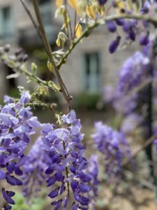 IMG_1642